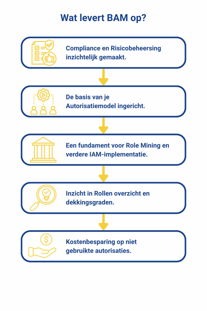 Wat levert BAM op? - BAM-Inzicht in rollen en grip op autorisaties.